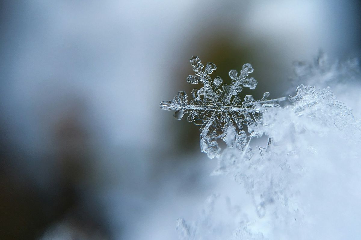 focused photo of a snow flake