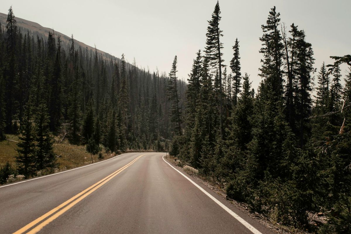 empty gray concrete road between trees during daytime