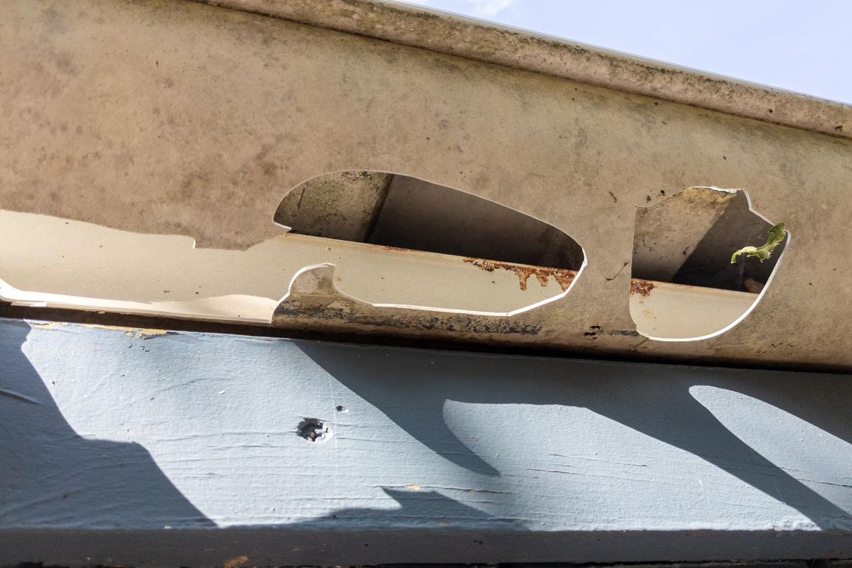 Damaged Gutters after hail storm with holes impact large hailstones waiting gutter Repair