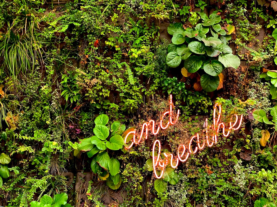 a sign that says and the plants are growing on the wall