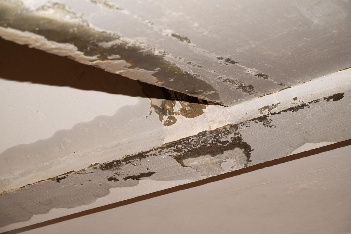 Flooding rainwater causing damage peeling paint and mildew