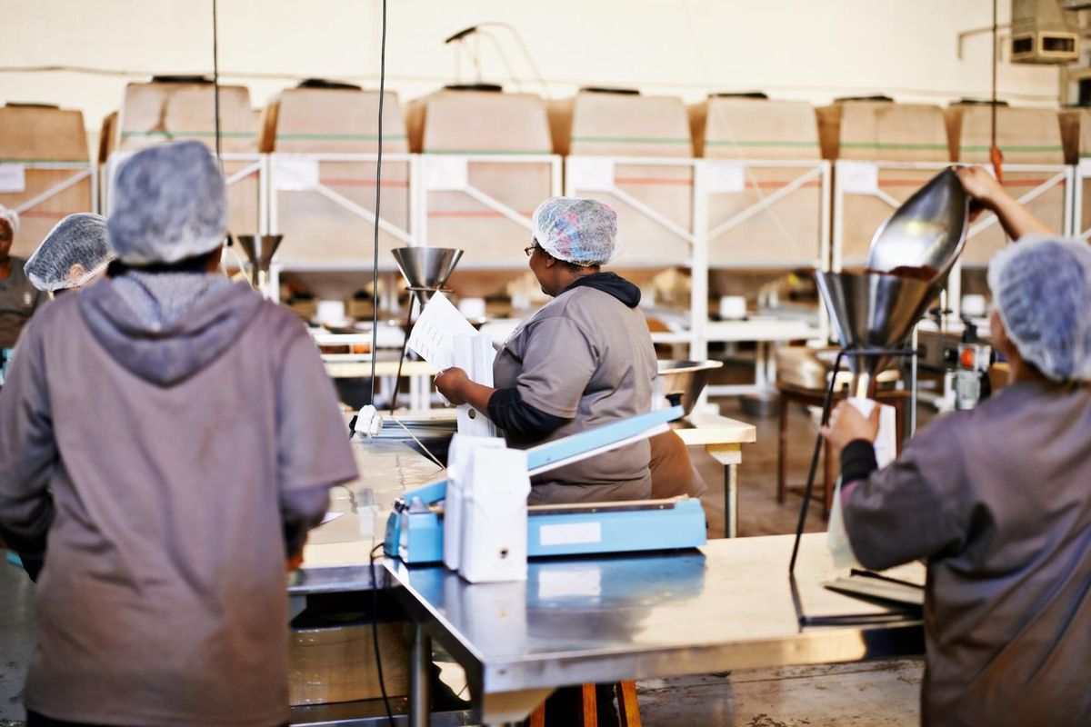 Worker warehouse and packaging distribution in factory for coffee manufacturing with collaboration wholesale or equipment People shipping and facility for caffeine beans delivery bag or storage