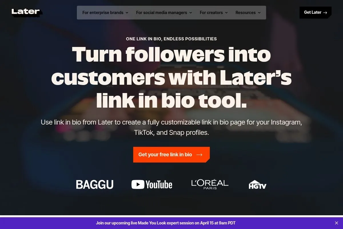 Screenshot of Later Link in Bio's homepage