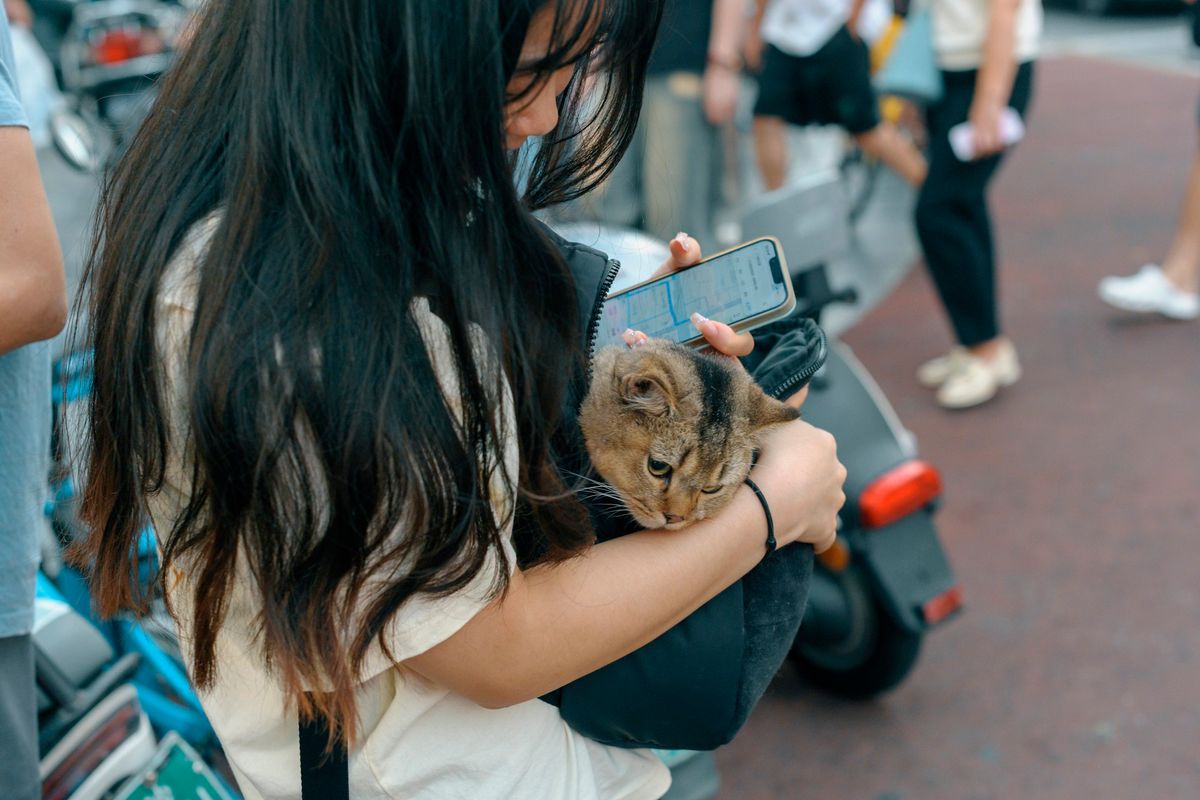 A woman is holding a cat in her arms