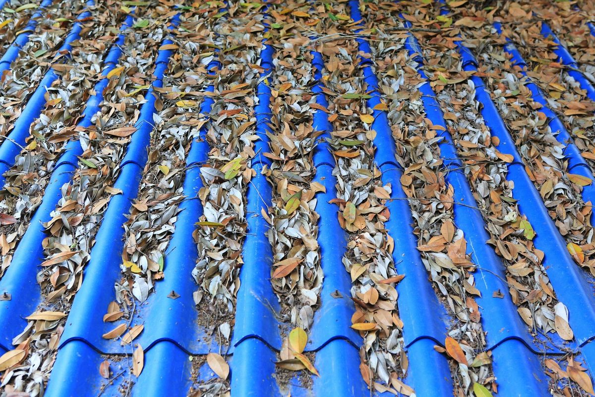 Fallen dried leaves on the roof of the blue tiles.